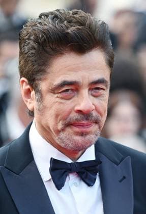 American actor Benicio Del Toro attends the premiere of The Phoenician Scheme at the 78th Cannes Film Festival in Cannes, France on Sunday May 18, 2025.  CAN20250518162 RUNExHELLESTAD