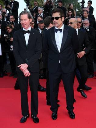 Cannes, 78th Cannes Film Festival 2025 - evening 6 - Red Carpet of the film The Phoenician Scheme In the photo: Wes Anderson, Benicio del Toro  Copyright: xTerenghi Ipax xipa-agency.netx xPoolxPhotoxEventsx05x IPA_Agency_IPA57892784