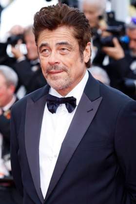 Benicio del Toro at the premiere of the feature film The Phoenician Scheme The Phoenician Masterstroke at the Festival de Cannes 2025 78 Cannes International Film Festival at the Palais des Festivals Cannes, 18 05 2025 Foto:xD.xBedrosianx xFuturexImagex phoenician_5538