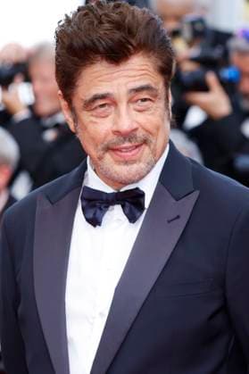 Benicio del Toro at the premiere of the feature film The Phoenician Scheme The Phoenician Masterstroke at the Festival de Cannes 2025 78 Cannes International Film Festival at the Palais des Festivals Cannes, 18 05 2025 Foto:xD.xBedrosianx xFuturexImagex phoenician_5539