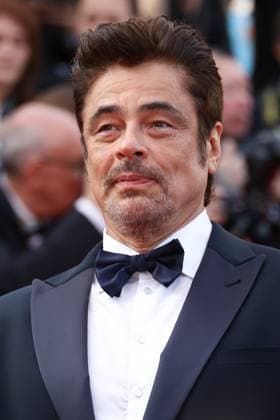 78eme Festival International du Film de Cannes Montée des marches du film The Phoenician Theme 78th Cannes Film Festival Red carpet of the film The phoenician scheme Benicio Del Toro 444609 2025 05 18 Cannes France  Copyright: xIsabellexVautierx xStarfacex STAR_444609_020
