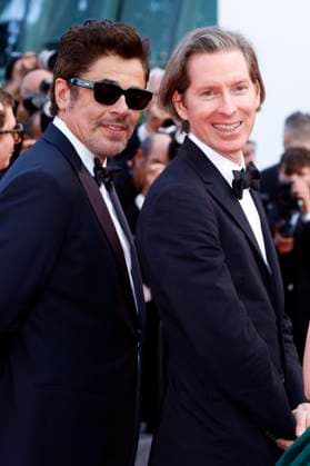 Benicio del Toro and Wes Anderson at the premiere of the feature film The Phoenician Scheme The Phoenician Masterstroke at the Festival de Cannes 2025 78 Cannes International Film Festival at the Palais des Festivals Cannes, 18 05 2025 Foto:xD.xBedrosianx xFuturexImagex phoenician_5550