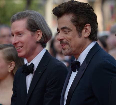 The Phoenician Scheme Premiere at 78th Festival de Cannes - Cannes, France CANNES, FRANCE. May 18, 2025: Wes Anderson, Benicio Del Toro & Michael Cera at the premiere for The Phoenician Scheme at the 78th Festival de Cannes. Picture: Paul Smith Featureflash Cannes France  Copyright: xPaulxSmithx xFeatureflashx