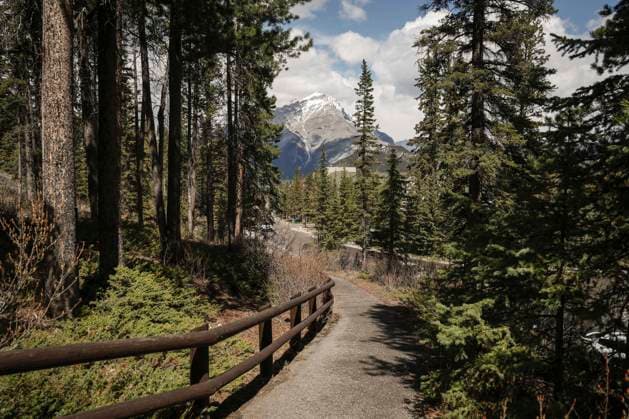 May 20, 2025, Banff, Ab, CANADA: Mt. Cascade towers over the Rimrock Resort Hotel, seen through trees at lower right, where the G7 Finance Ministers will be meeting in Banff, Alta. on Tuesday, May 20, 2025. Banff CANADA  - ZUMAc35_ 20250520_zaf_c35_028 Copyright: xJeffxMcintoshx