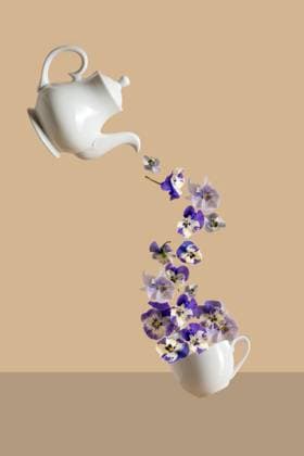 Abstract levitation purple pancy flying flowers teapot and tea cup Corby, England, United Kingdom CR_ATMT250519B-1732363-01