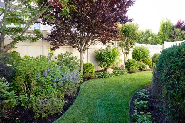 Lawn, trees and flowers in backyard New York City,New York,USA, 08.06.2024, ,property released TTBB_tbs330894.jpg, Backyard,Blossom,Bush,Day,Fence,Flower,Garden,Grass,Horizontal,Landscape,Landscaped,Lawn,Long Beach,Lush Foliage,New York,New York State,No People,Outdoors,Summer,USA Copyright: xTetraxImagesx
