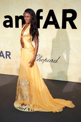 Leomie Anderson at the 31 amfAR Gala Cannes as part of the Festival de Cannes 2025 78 Cannes International Film Festival at the Hôtel du Cap Eden Roc Antibes, 22 05 2025 Foto:xD.xBedrosianx xFuturexImagex amfar_5605