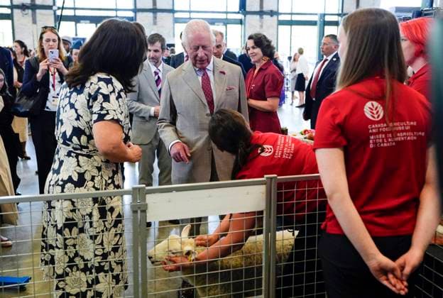 May 26, 2025, Ottawa, On, CAN: King Charles is shown a 3-month-old Rideau Arcott lamb from the Canadian Agriculture and Food Museum, at a community gathering at Lansdowne Park in Ottawa during a royal visit, on Monday, May 26, 2025. Ottawa CAN  - ZUMAc35_ 20250526_zaf_c35_095 Copyright: xJustinxTangx