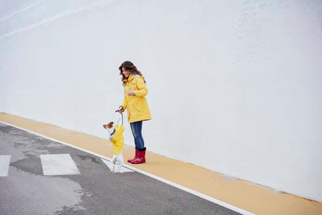 Creative Highlights Symbolbilder Young woman playing with dog in front of white wall model released, Symbolfoto property released, EBBF05137