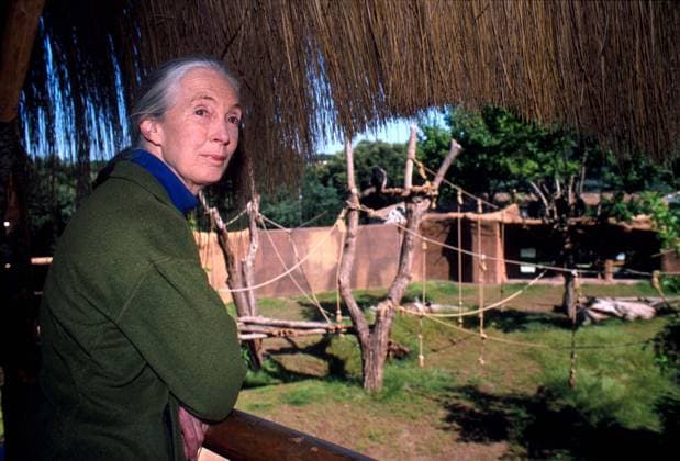 JANE GOODALL 3 December 2003 half length, half-length Rome Italy Copyright: xLucaxCavallari CapitalxPicturesx