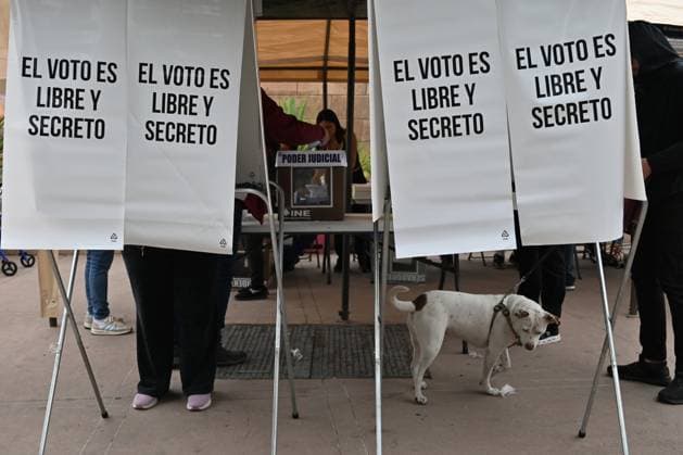June 1, 2025, Tijuana, Baja California, Mexico: A dog and voters at a Ã¢â‚¬oespecial ballot box zone installed for people living outside the border city of Tijuana, Mexico is seen at a polling station at the Tijuana Cultural Center during the world-first Mexican elections to elect all judges and magistrates on Sunday, June 1, 2025. Polls opened Sunday in elections making Mexico the world s only country to select its judges at all levels by popular vote. Tijuana Mexico - ZUMAm180 20250601_zip_m180_011 Copyright: xCarlosxA.xMorenox