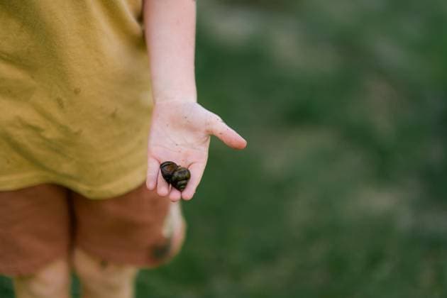 IMAGO Creative, Sommer, Sommertage im Garten Close up of muddy child holding snail in hand during spring Granger, Iowa, United States CR_LIPF250526-1741929-01 ,model released, Symbolfoto
