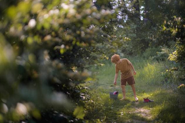 IMAGO Creative, Sommer, Sommertage im Garten Young boy places shoes in bucket on trail to walk barefoot Granger, Iowa, United States CR_LIPF250526-1741953-01 ,model released, Symbolfoto