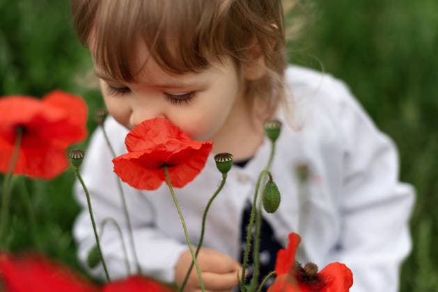 Creative Highlights Symbolbilder A little girl smelling the poppy in the garden. Corby, England, United Kingdom CR_JNDO250602A-1735623-01 ,model released, Symbolfoto
