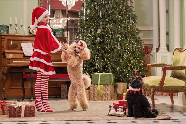 girl performs ballet in a Santa costume with two decorated poodles Saint Petersburg, Saint Petersburg, Russia R_YFCG250616C-1768995-01 ,model released, Symbolfoto