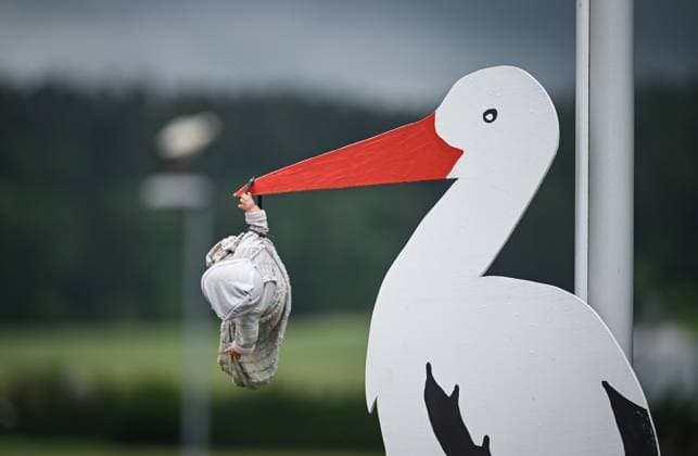 Hirrlingen (Kreis Tuebingen) 18.06.2025 Ein Holzstorch vor einem Haus zeigt die Geburt eines Babys an, der hoelzernen Storch im Garten der frischgebackenen Eltern traegt ein Puppe mit Windeln im Schnabel. *** Hirrlingen district Tuebingen 18 06 2025 A wooden stork in front of a house indicates the birth of a baby, the wooden stork in the garden of the new parents carries a doll with diapers in its beak