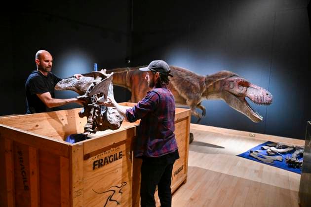 News Themen der Woche KW26 Bilder des Jahres 2025, News 06 Juni News Bilder des Tages . 23 06 2025. Cumbria, United Kingdom. Internationally acclaimed interactive dinosaur exhibition. Installation of the new Dinosaur rEvolution exhibition brings together cutting-edge science, striking art, and full-sized animatronic creatures opens at Tullie in Carlisle this weekend. Unlike the dusty textbook dinosaurs of the past, this exhibition presents them as science now suggests they were: fast, feathered, and often flamboyantly strange. Dinosaur rEvolution has been developed by Gondwana Studios, specialists in dinosaur exhibitions which bridge the gap between science and public engagement. The exhibition has previously toured in New Zealand and Australia. The exhibition runs at Tullie from Saturday 28 June to Sunday 14 September.  xStuartxWalkerx xi-Imagesx IIM-26042-0011
