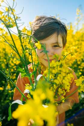 Creative Highlights Symbolbilder Boy smiling in a rapeseed field during summer model released, Symbolfoto, ANAF04735
