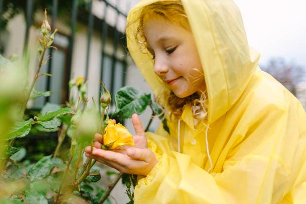 Child in yellow raincoat gently smiling while looking at a rose in a garden model released, Symbolfoto, SIF01329
