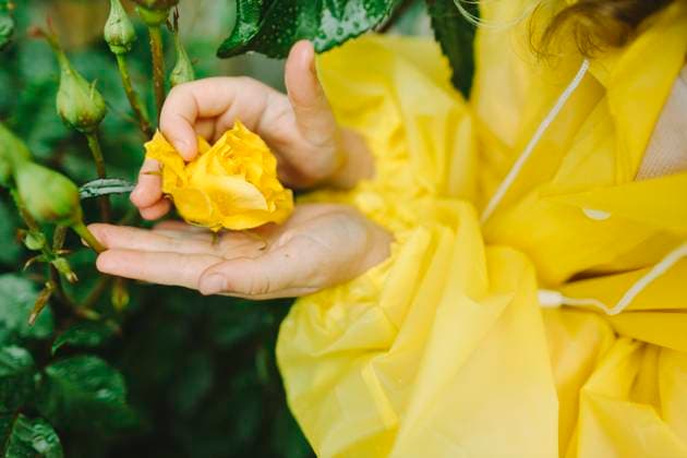 Creative Highlights Symbolbilder Child in yellow raincoat holding a yellow rose outdoors model released, Symbolfoto, SIF01330