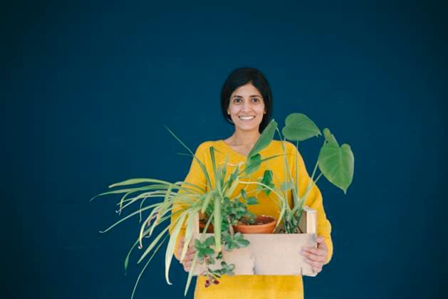 Woman in yellow sweater holding a box of potted plants indoors model released, Symbolfoto property released, KNSF11410