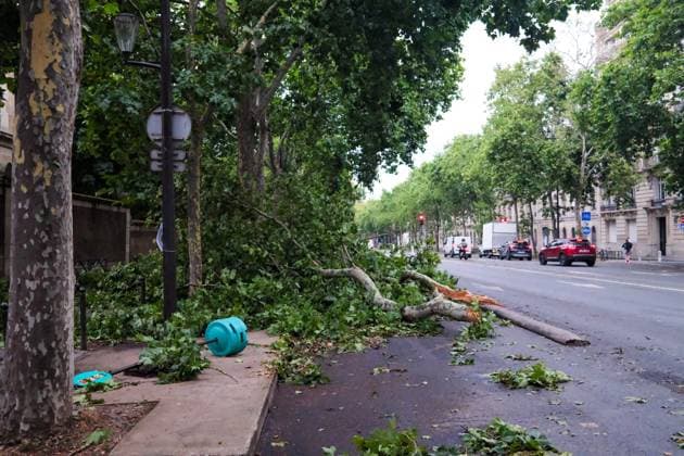Bilder des Jahres 2025, News 06 Juni News Bilder des Tages Recovery After Violent Storms in Paris - Paris Trees and branches torn from the ground in the streets of the capital. Paris in the aftermath of the violent storms that hit the capital on the evening of Wednesday, June 25, 2025. Trees uprooted, branches torn off, bike paths flooded: the consequences of gusts of up to 90 km h and intense rain are visible in several neighborhoods. Paris, France, June 26, 2025. Photo by Christopher Charpaud ABACAPRESS.COM Paris Ile-de-France France  Copyright: xCharpaudxChristopher ABACAx