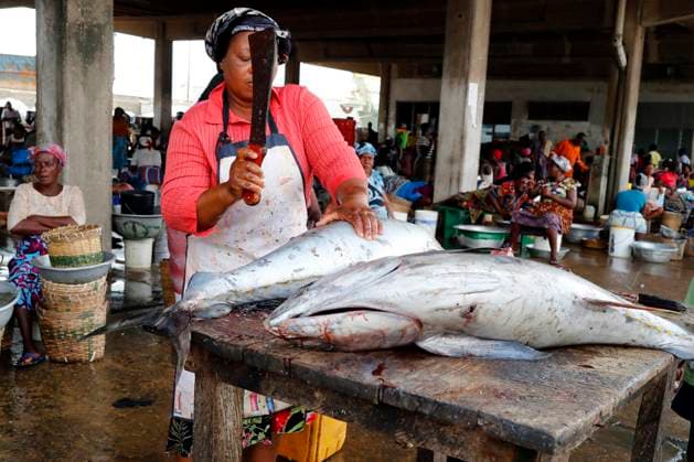 Port of Lome. Fish market. Tuna fish. Togo. Lome Maritime Region Togo