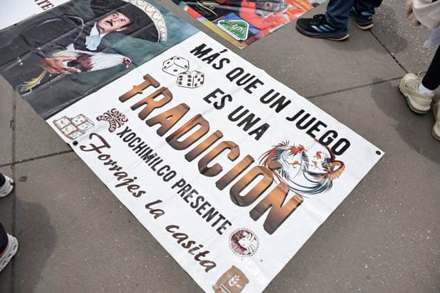 June 26, 2025, Mexico, Cdmx, Mexico: Protesters in favor of bullfighting, rodeos, and cockfights demonstrate in Mexico City s ZoÂ³calo to demand that the traditions of these activities be kept alive. They mention that thousands of families make a living raising farm animals for these activities, which are part of the country s history and traditions. Despite laws protecting the lives and rights of animals from abuse, they reject any initiative by pro-animal activists to prohibit these spectacles, which provide entertainment for a certain segment of the population through animal suffering and torture for financial gain. Mexico Mexico - ZUMAp204 20250626_zip_p204_016 Copyright: xJosuexPerezx