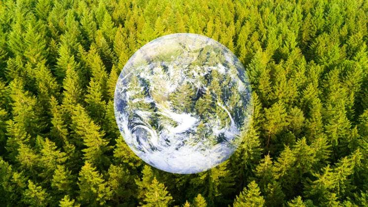 Wald, Planet Erde mit Bäumen, Klimawandel, globale Erwärmung, nachhaltige Lebensweise, Ökologie und Umwelt Wald, Planet Erde mit Bäumen, Klimawandel, globale Erwärmung, nachhaltige Lebensweise, Ökologie und Umwelt (License=RF) Copyright: xZoonar.com BeritxKesslerx 23659310