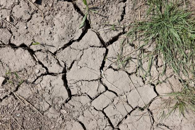 Symbolic image for the topic severe drought Dried out soil with cracks near Siegen Oberschelden summer in Siegerland on 29 06 2025 in Siegen Germany
