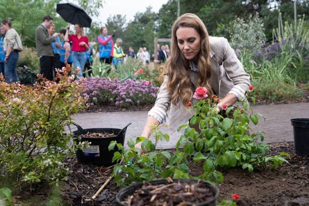 Princess of Wales visits Colchester Hospital The Princess of Wales planting a rose during a visit to the RHS s Wellbeing Garden at Colchester Hospital in Essex. The visit coincides with the donation of 50 Catherine s Rose plants, named after the princess by the RHS with funds from sales going to the Royal Marsden Cancer Charity. Picture date: Wednesday July 2, 2025. PA Photo., Credit:Stefan Rousseau Avalon UK, Colchester  Copyright: xStefanxRousseaux xAvalonx 1017656925