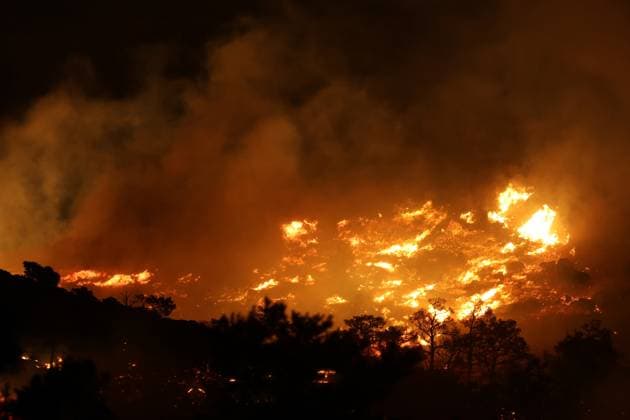 Bilder des Jahres 2025, News 07 Juli News Themen der Woche KW27 Massive fire erupts in Ierapetra, Crete CRETE, GREECE - JULY 2: 145 firefighters, 8 on-foot units and 25 vehicles work on the scene where a large wildfire broke out in Ierapetra on the Greek island of Crete on July 2, 2025. The wildfire on Crete has scorched forest land, threatened homes, and forced the evacuation of residents and tourists from at least four settlements in the municipality of Ierapetra. Kostas Metaksakis Anadolu Crete Greece. Editorial use only. Please get in touch for any other usage.  Copyright: x2025xAnadoluxKostasxMetaksakisx