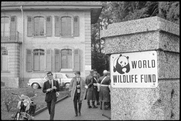 Prince Philip, visit to the WWF, Morges 1965 Prince Philip, visit to the WWF, Morges 1965 Copyright: RDB ATP Stampfli 1032_05_RDB00117125