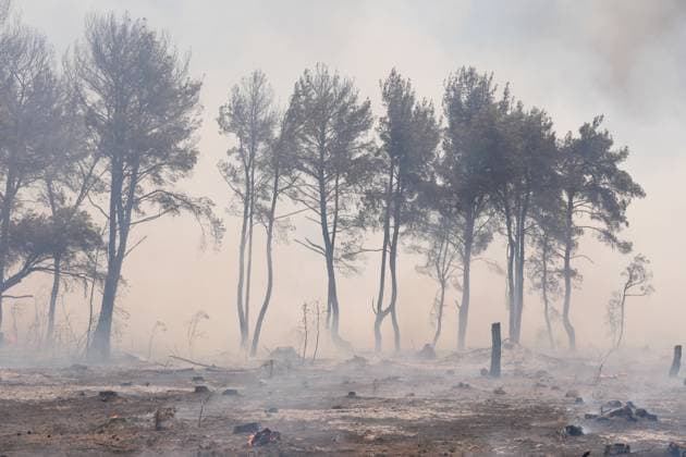 Bilder des Jahres 2025, News 07 Juli News Themen der Woche KW27 Firefighting efforts continue in the Buca district of Izmir IZMIR, TURKIYE - JULY 04: A general view of the burned forest area as firefighters and Turkish General Directorate of Forestry teams continue their efforts to extinguish the fire that broke out in the forest area on July 04, 2025 in Buca district of Izmir, Turkiye. Hakan Akgun Anadolu Izmir Turkey. Editorial use only. Please get in touch for any other usage.  Copyright: x2025xAnadoluxHakanxAkgunx