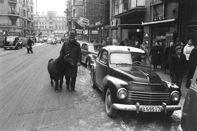 Das kleine Pferd auf der Straße 1953. Ein Mann führt ein kleines Pferd auf der belebten Straße Kungsgatan im Zentrum von Stockholm. Ein Volvo PV 444 ist auf der Straße geparkt. Im Hintergrund der Stureplan mit seiner Fassade mit Leuchtreklamen, damals der teuerste Platz für eine Werbeanzeige The small horse in street 1953. A man is leading a small horse on the busy street Kungsgatan in central Stockholm A Volvo PV 444 is seen parked in the street. In the background Stureplan with it s fasade with neon signs, then being the most expensive spot to place an advertisment Copyright: imageBROKER Sjoberg ibljsj14287724.jpg
