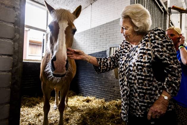 Bilder des Jahres 2025, Entertainment 07 Juli Entertainment Themen der Woche KW27 Den Haag, The Netherlands, 2025-07-05 16:11:51 THE HAGUE, 05-07-2025, Madurodam Riding SchoolPrincess Beatrix attended the 60th anniversary of the Foundation Horse Riding for the Disabled (SPG) at the Madurodam Riding School in The Hague. PHOTO: NLBeeld POOL Patrick van Katwijk Credit: NL Beeld Patrick van Emst  Copyright: xx x