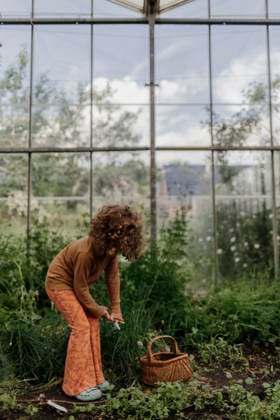 Creative Highlights Symbolbilder Child with Wicker basket in lush greenhouse garden with herbs Amsterdam, North Holland, Netherlands CR_RTBZ250705-1778754-01 ,model released, Symbolfoto