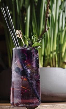 Foodfotografie, Lila Cocktail mit Blaubeeren, Minze und schwarzen Strohhalmen wird von einem Barkeeper gemixt Food, Purple cocktail with blueberries, mint, and black straws is being mixed by a bartender Copyright: imageBROKER AntonxDobrea ibxiqx14247337.jpg