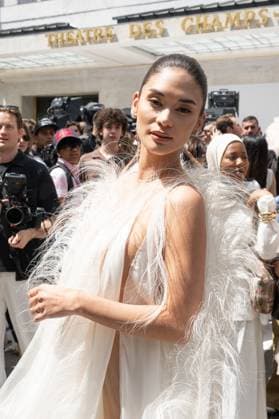 PFW - Stephane Rolland Outside Arrivals Pia Wurtzbach attends the Stephane Rolland Haute Couture Fall Winter 2025 2026 show as part of Paris Fashion Week on July 08, 2025 in Paris, France. Photo by Laurent Zabulon ABACAPRESS.COM Paris France  Copyright: xZabulonxLaurent ABACAx