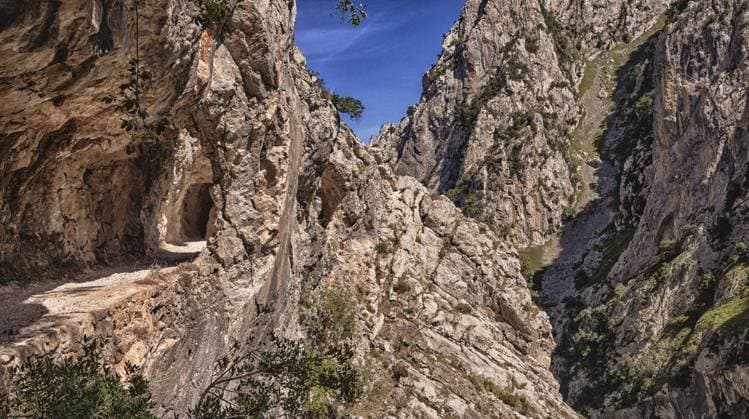Ruta del Cares, Cares Trail Trekking Pfad, Nationalpark Picos de Europa, Biosphärenreservat, Kantabrisches Gebirge, Kastilien und León Asturien, Spanien, Europa Ruta del Cares, Cares Trail Trekking Path, Picos de Europa National Park, Biosphere Reserve, Cantabrian Mountains, Castile and León-Asturias, Spain, Europe Copyright: imageBROKER AlxCarrera ibxiqx14049861.jpg