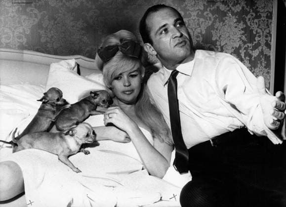 Mansfield über Bettruhe in Deutschland Mai 1967 Wiesbaden, Deutschland Welpen klettern auf die amerikanische Schauspielerin Jayne Mansfield, während sie mit ihrem Anwalt und Begleiter Samuel Brody im Bett liegt. Der Star wurde während eines GI-Tourstopps in Deutschland zur Bettruhe verordnet. Wiesbaden Germany *** Mansfield via Bed rest in Germany May 1967 Wiesbaden, Germany Puppies Climbing at the American Actress Jayne Mansfield, during you with their Lawyer and Companion Samuel Brody at Bed is the Star was during one GI Tour stops in Germany to Bed rest decreed Wiesbaden Germany  Copyright: xUnitedxArchivesx xkpaxKeystonex 19670522_kts_k09_317