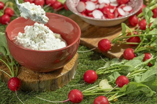 Hüttenkäse wird mit einem Löffel in Schale gegeben, umgeben von Radieschen Cottage cheese is placed in a bowl with a spoon, surrounded by radishes Copyright: imageBROKER LucasxSeebacher ibxlse13968256.jpg