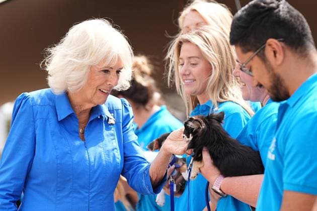 Entertainment Bilder des Tages Queen Camilla visits Battersea Dogs and Cats Home Queen Camilla visits Battersea Dogs and Cats Home to unveil the Royal Horticultural Society (RHS) and BBC Radio 2™s Dog Garden, designed by Monty Don and newly installed at the charity s London centre in Battersea, London, UK, on the 14th July 2025. Picture by Aaron Chown WPA-Pool London Battersea Dogs and Cats Home London United Kingdom  WHA-0797