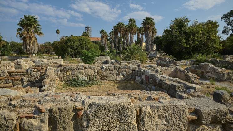 Verfallene Steinmauern und alte Palmen unter einem blauen Himmel in einer antiken Ruinenlandschaft, Antike Agora, Kos-Stadt, Kos, Dodekanes, Griechische Inseln, Griechenland Dilapidated stone walls and ancient palm trees under a blue sky in an ancient ruins landscape, Ancient Agora, Kos Town, Kos, Dodecanese, Greek Islands, Greece Copyright: imageBROKER RalfxAdler ibxraa14324710.jpg