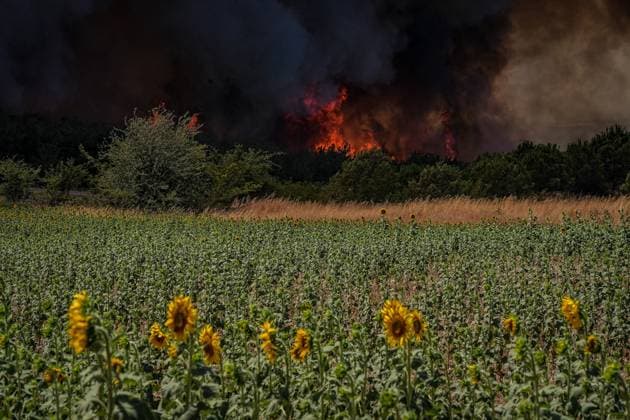 Wildfires rage across Turkiye s Marmara spread to Canakkale CANAKKALE, TURKIYE - JULY 16: Massive smoke and flames rise as efforts continue to extinguish a forest fire that spread from agricultural land in Tekirdag to Gelibolu district of Canakkale, Turkiye on July 16, 2025. Aerial and ground teams continue to fight the blaze as smoke rises over the charred woodland. Sergen Sezgin Anadolu Canakkale Turkey. Editorial use only. Please get in touch for any other usage.  Copyright: x2025xAnadoluxSergenxSezginx