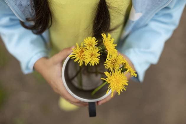 Creative Highlight Symbolbilder Ein Mädchen in einer blauen Jacke hält einen Strauß Löwenzahn in einem Eisenbecher. Nahaufnahme A girl in a blue jacket holds a bouquet of dandelions in an iron mug. Close up Copyright: imageBROKER NatashaxZakharova ibxiqx14294807.jpg ,model released, Symbolfoto ,property released