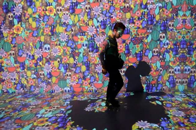 A person takes a tour during the Frida Kahlo: The life of an icon Immersive Biography exhibition at Espacio Alter. on July 22, 2025 in Mexico City, Mexico. Mexico City Mexico - ZUMAe321 20250722_zia_e321_011 Copyright: xLuisxBarronx