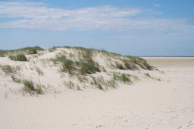 Sand dune and grass at Sankt Peter-Ording beach under blue sky, WIF04795