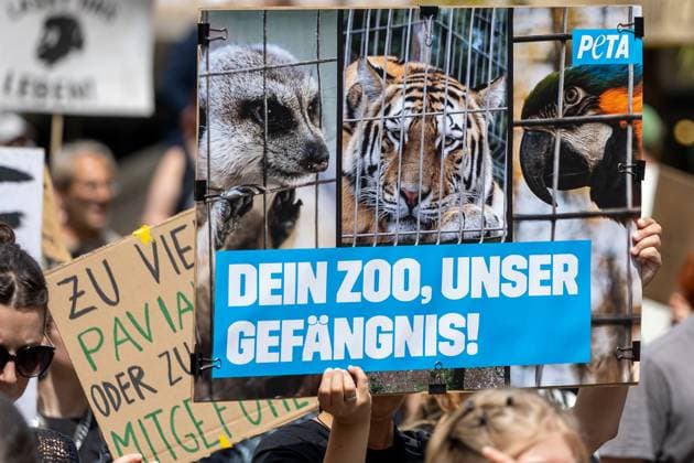 Protest Demonstration against the killing of baboons in the zoo, Nuremberg, 2607 2025 Participants of a demonstration in Nuremberg hold a poster of the animal rights organization PETA with the inscription Dein Zoo, unser Gefängnis The sign shows pictures of animals behind bars includin 20250726-6V2A5335-M4000