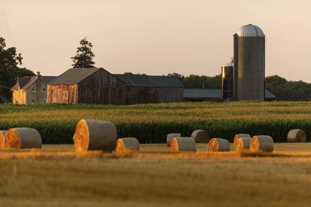 Feld mit Heuballen bei Sonnenuntergang mit einer Scheune und einem Silo als rustikale Kulisse im Südwesten Ontarios, Kanada, Nordamerika Field of hay bales at sunset with a barn and silo providing a rustic backdrop in Southwestern Ontario, Canada, North America Copyright: imageBROKER MarkxSpowart ibxmsp14399803.jpg